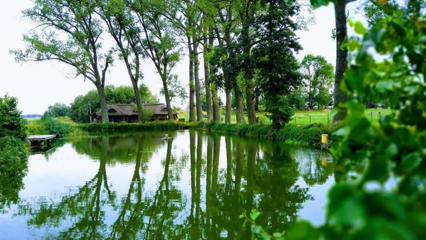 Hotel&Spa Dwor Droblin Leśna Podlaska المظهر الخارجي الصورة